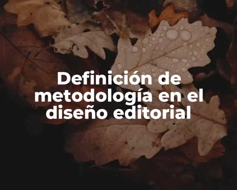 Definición de metodología en el diseño editorial