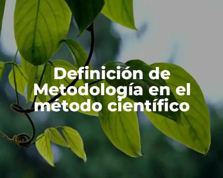 Definición de Metodología en el método científico