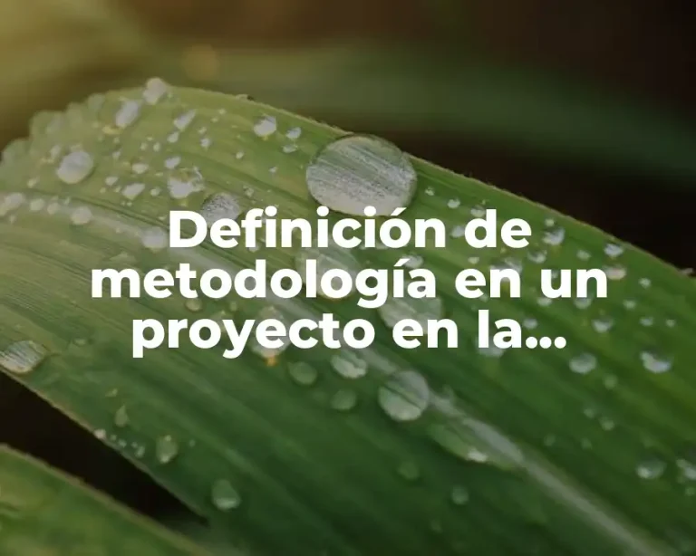 Definición de metodología en un proyecto en la educación