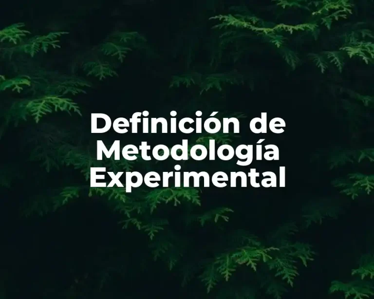 Definición de Metodología Experimental