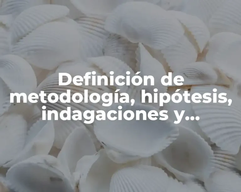 Definición de metodología, hipótesis, indagaciones y problema