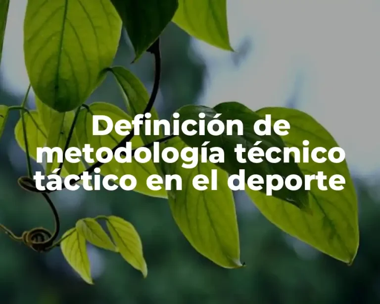 Definición de metodología técnico táctico en el deporte