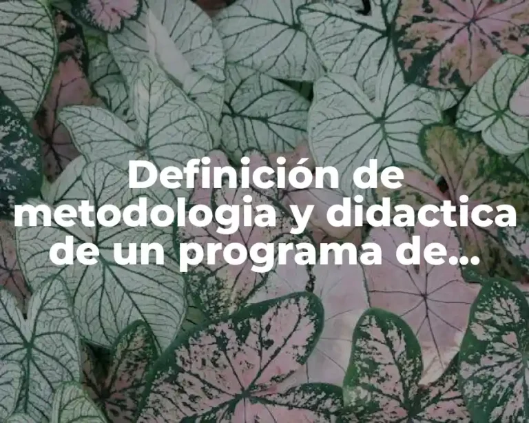 Definición de metodologia y didactica de un programa de capacitación