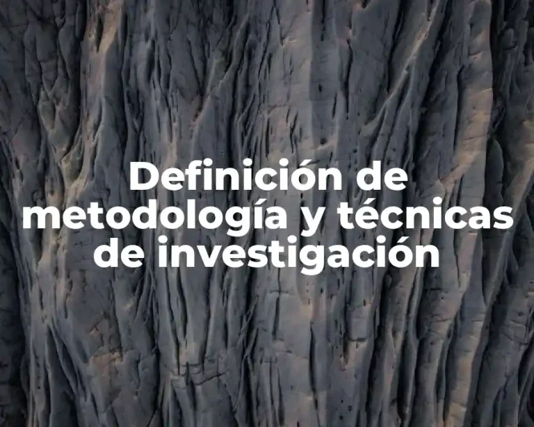Definición de metodología y técnicas de investigación