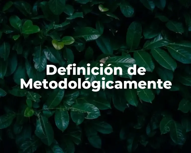 Definición de Metodológicamente