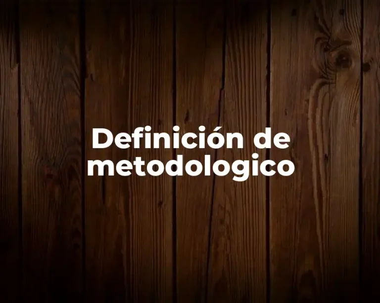 Definición de metodologico