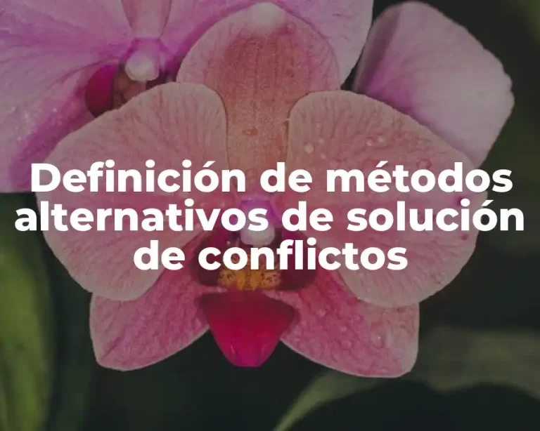 Definición de métodos alternativos de solución de conflictos