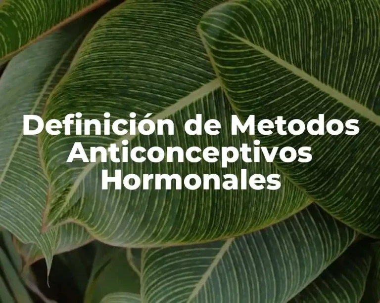 Definición de Metodos Anticonceptivos Hormonales