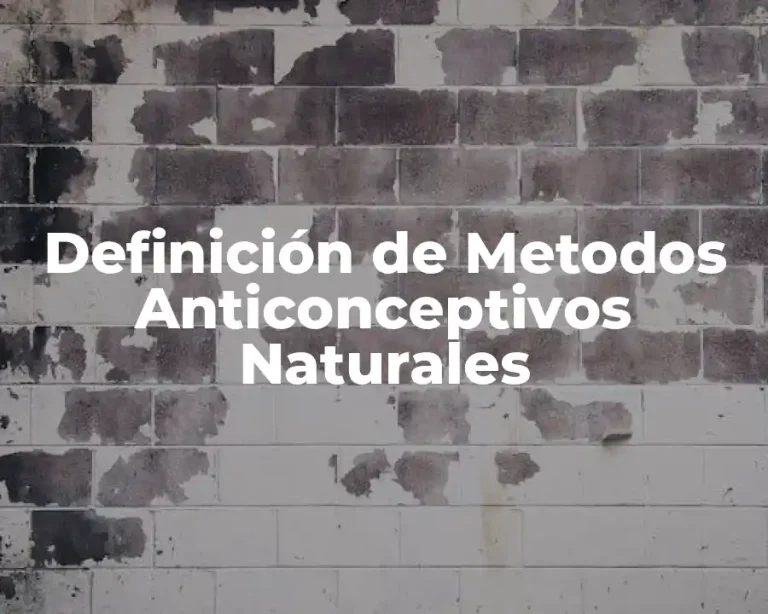 Definición de Metodos Anticonceptivos Naturales
