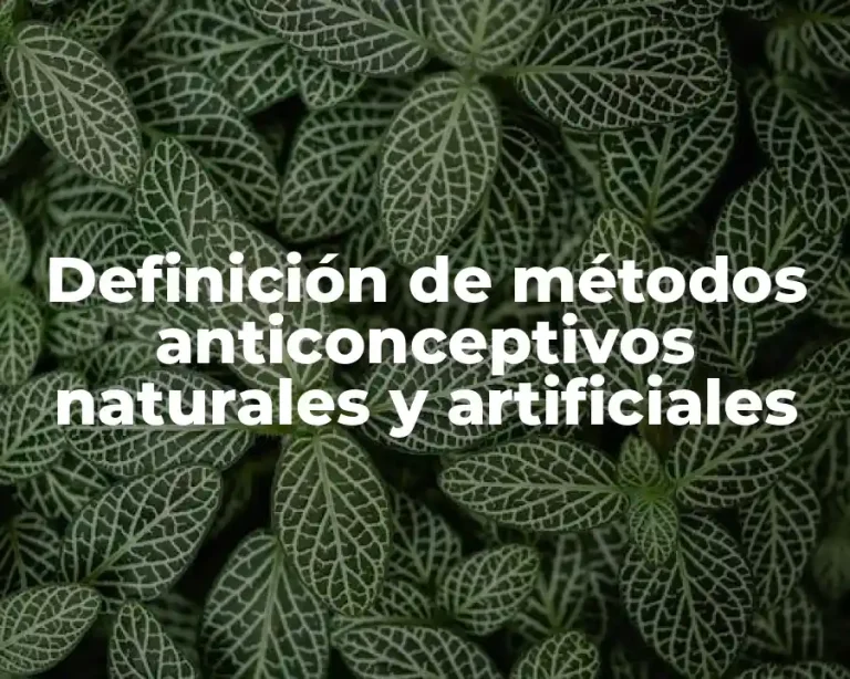 Definición de métodos anticonceptivos naturales y artificiales