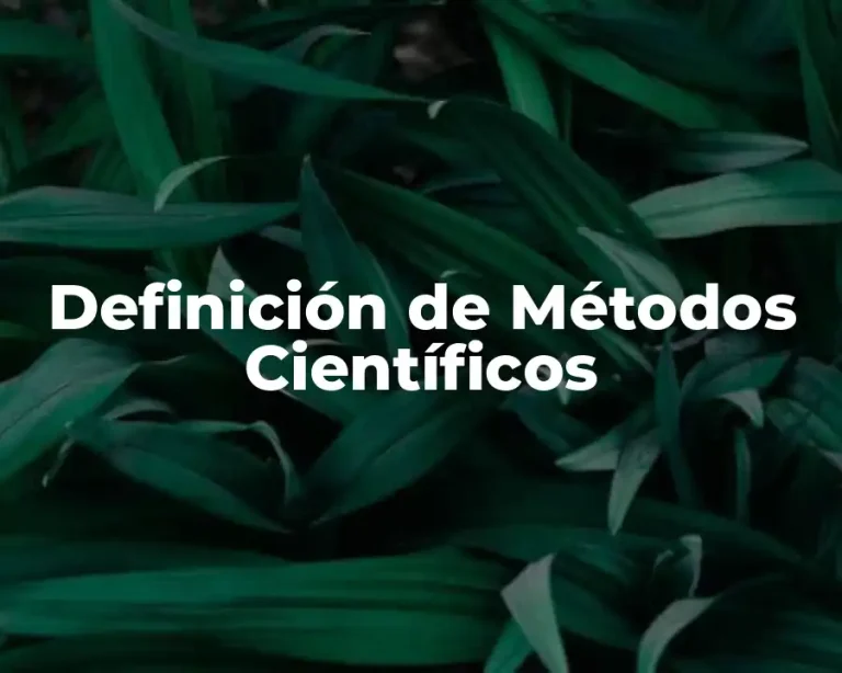 Definición de Métodos Científicos