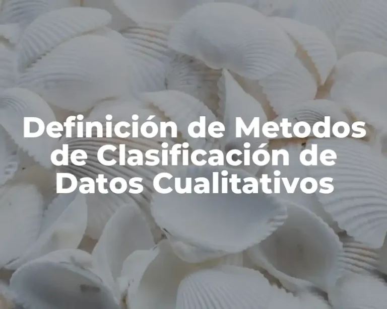 Definición de Metodos de Clasificación de Datos Cualitativos