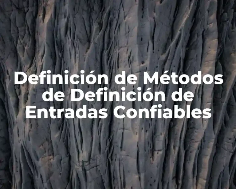 Definición de Métodos de Definición de Entradas Confiables