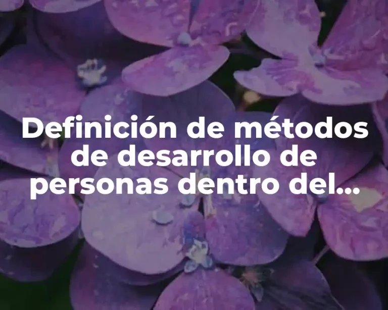 Definición de métodos de desarrollo de personas dentro del trabajo
