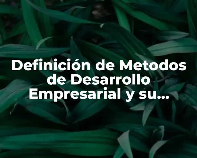 Definición de Metodos de Desarrollo Empresarial y su Objetivo