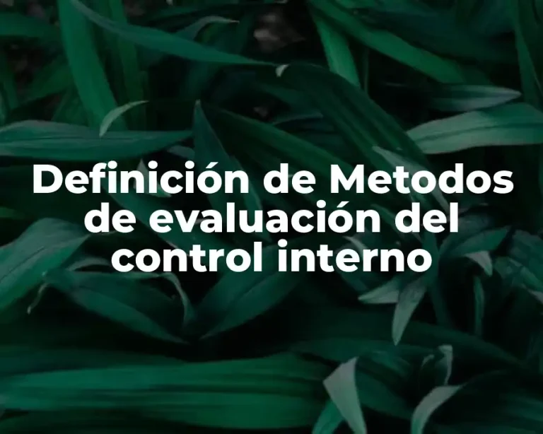Definición de Metodos de evaluación del control interno