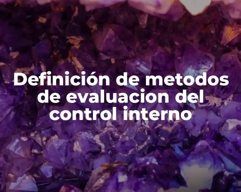Definición de metodos de evaluacion del control interno