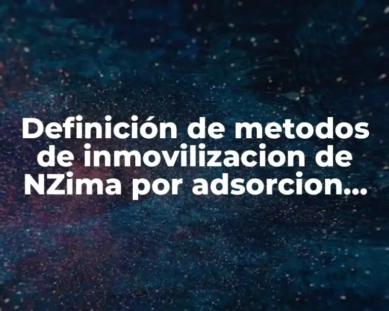 Definición de metodos de inmovilizacion de NZima por adsorcion fisica