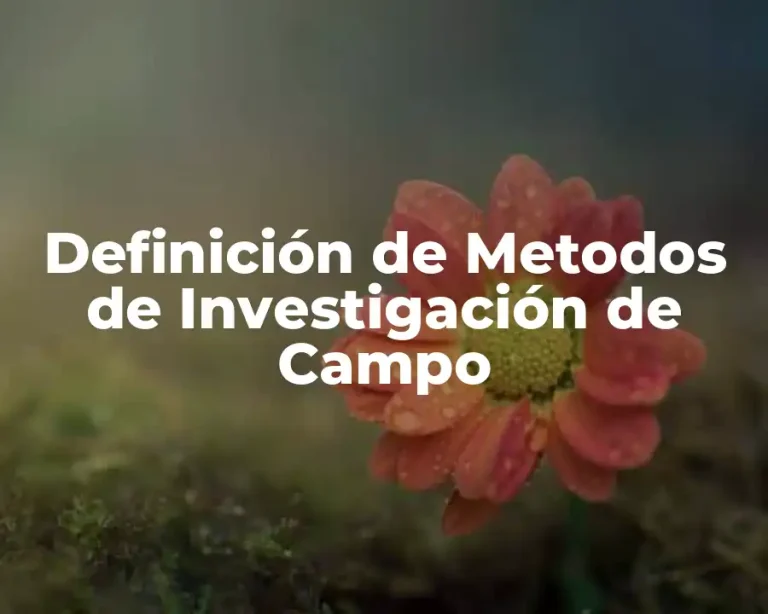 Definición de Metodos de Investigación de Campo