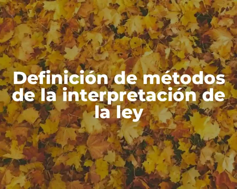 Definición de métodos de la interpretación de la ley