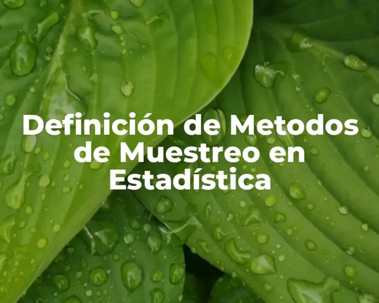 Definición de Metodos de Muestreo en Estadística