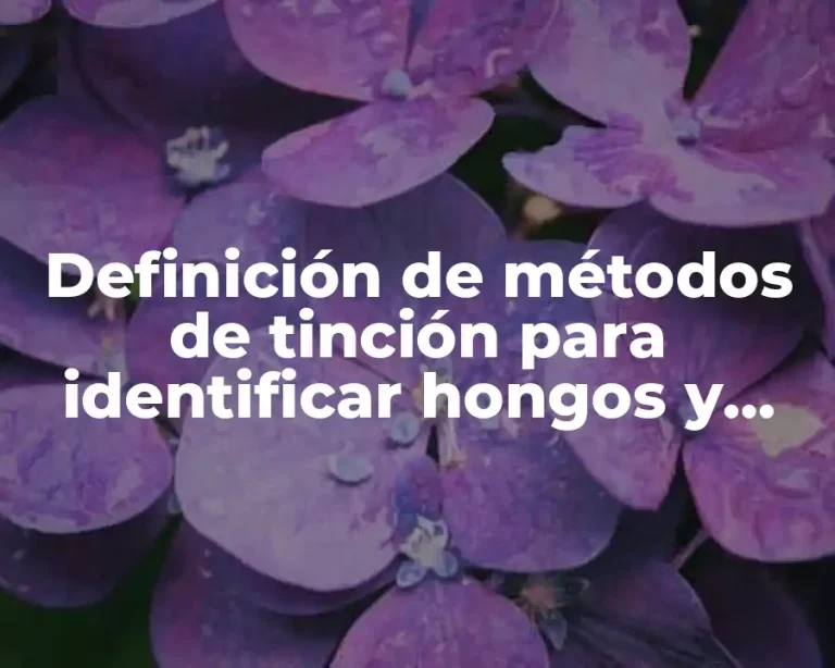 Definición de métodos de tinción para identificar hongos y levaduras