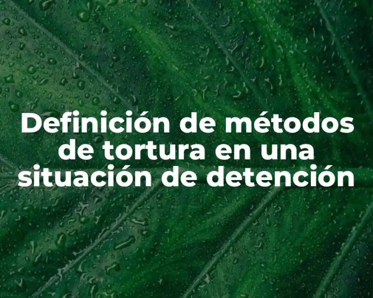 Definición de métodos de tortura en una situación de detención