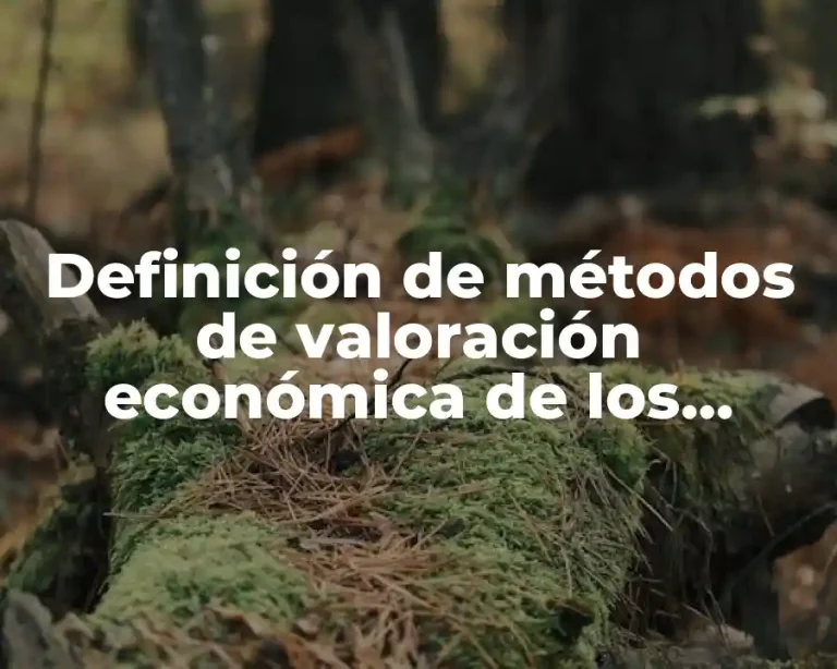 Definición de métodos de valoración económica de los servicios ambientales