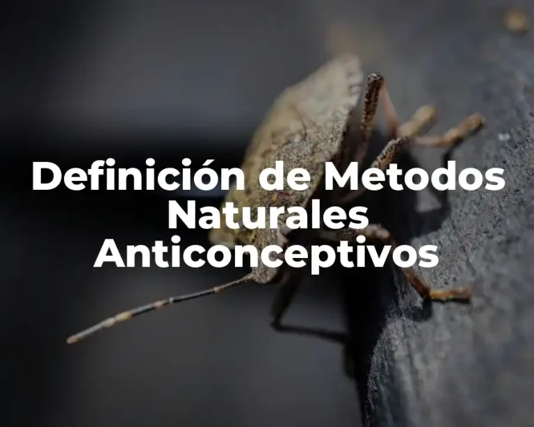 Definición de Metodos Naturales Anticonceptivos