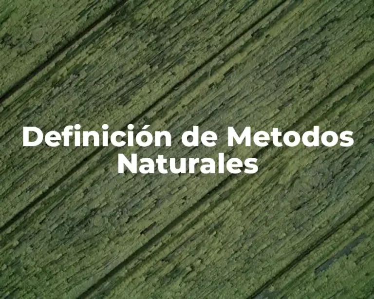 Definición de Metodos Naturales