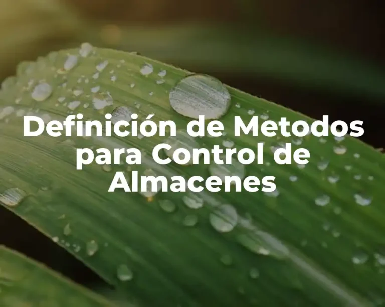 Definición de Metodos para Control de Almacenes