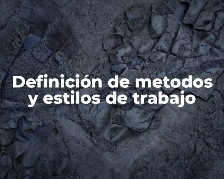 Definición de metodos y estilos de trabajo