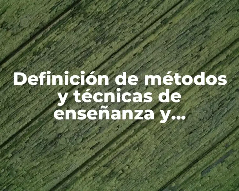Definición de métodos y técnicas de enseñanza y aprendizaje