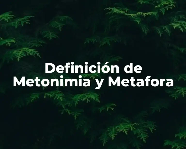 Definición de Metonimia y Metafora