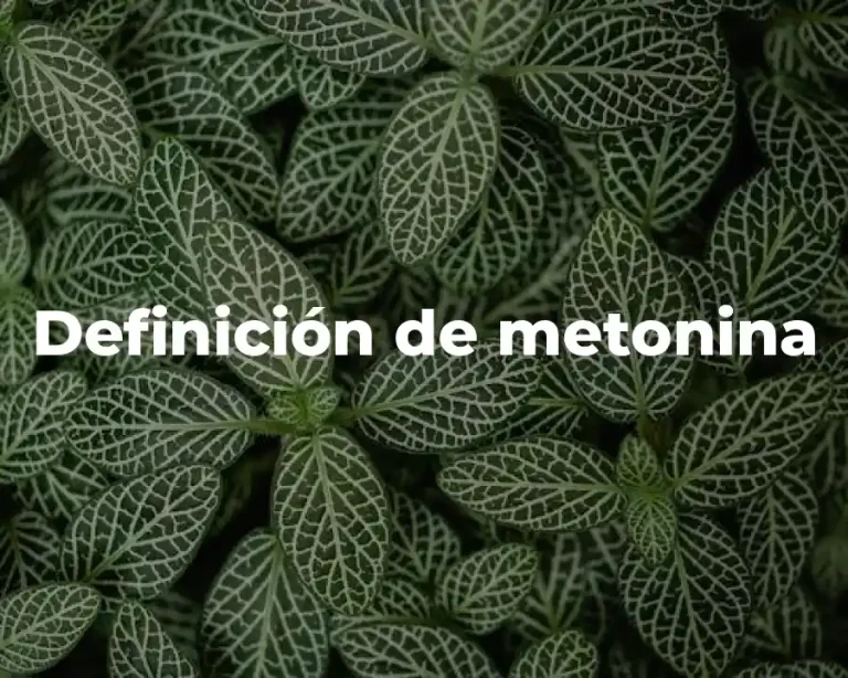 Definición de metonina