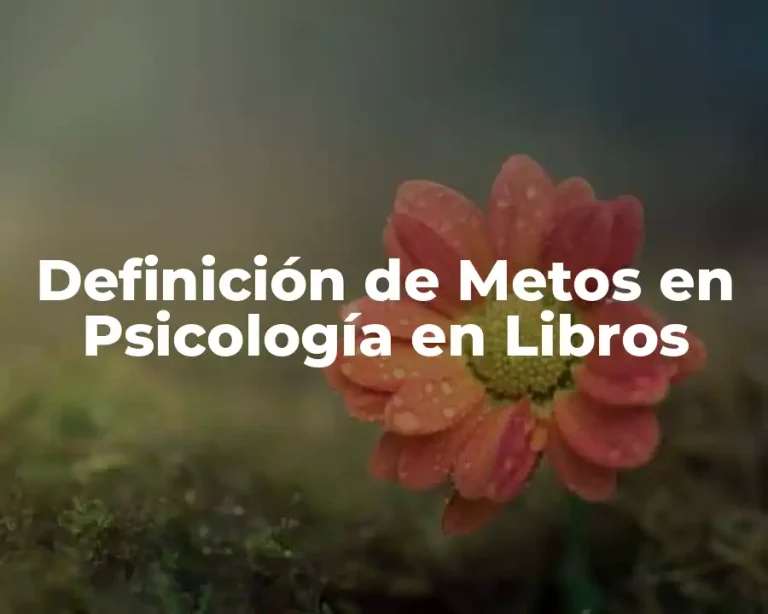 Definición de Metos en Psicología en Libros