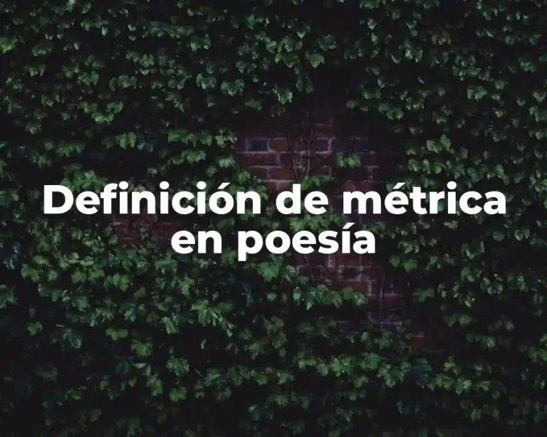 Definición de métrica en poesía