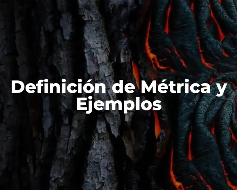 Definición de Métrica y Ejemplos