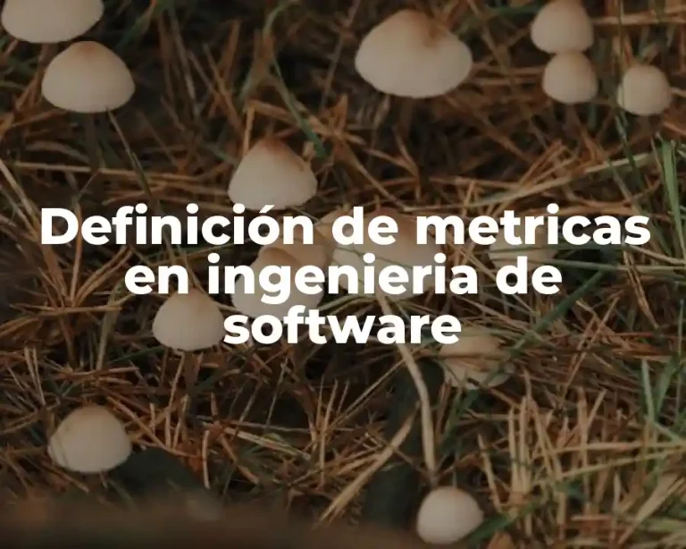 Definición de metricas en ingenieria de software