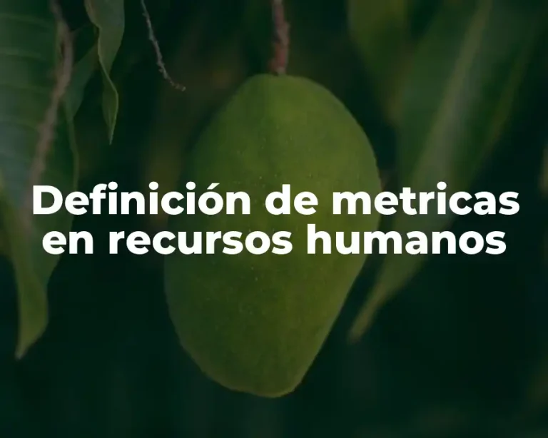 Definición de metricas en recursos humanos