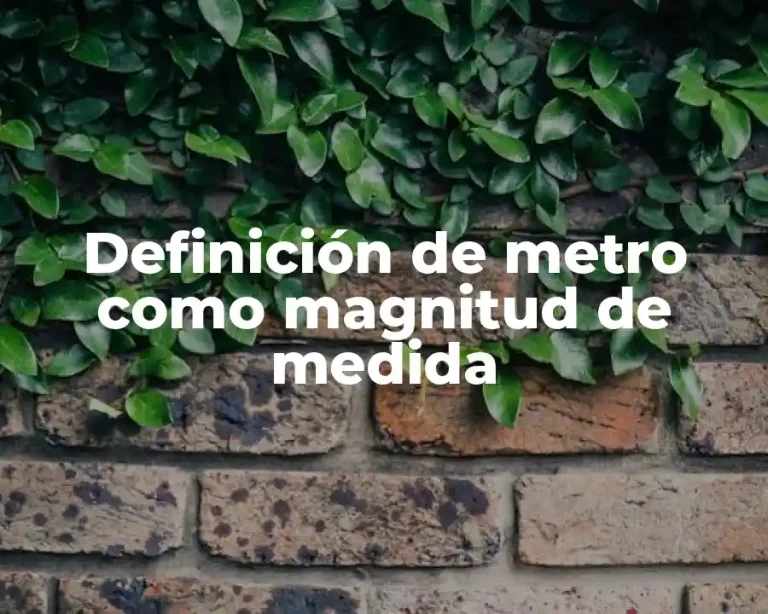 Definición de metro como magnitud de medida