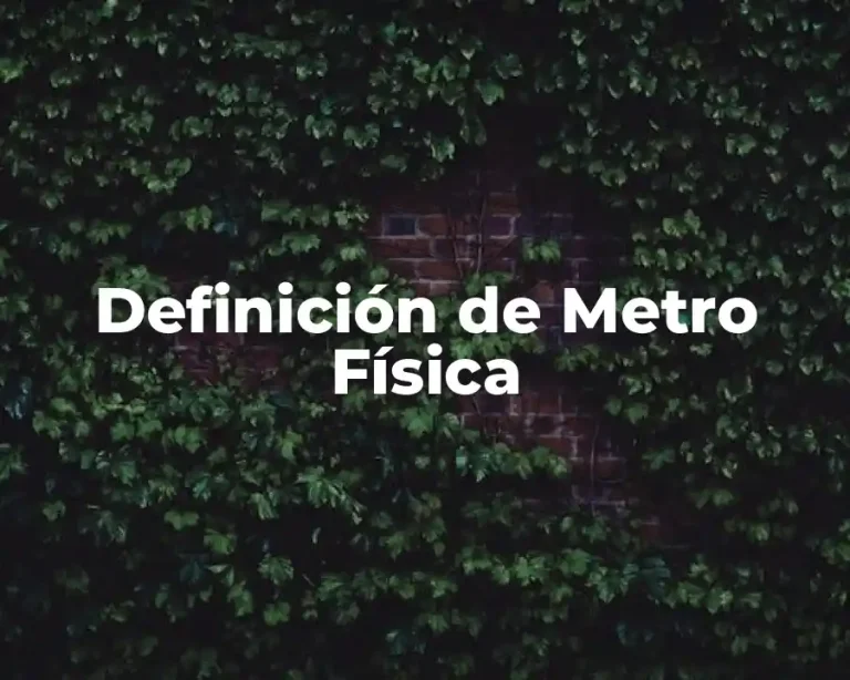 Definición de Metro Física