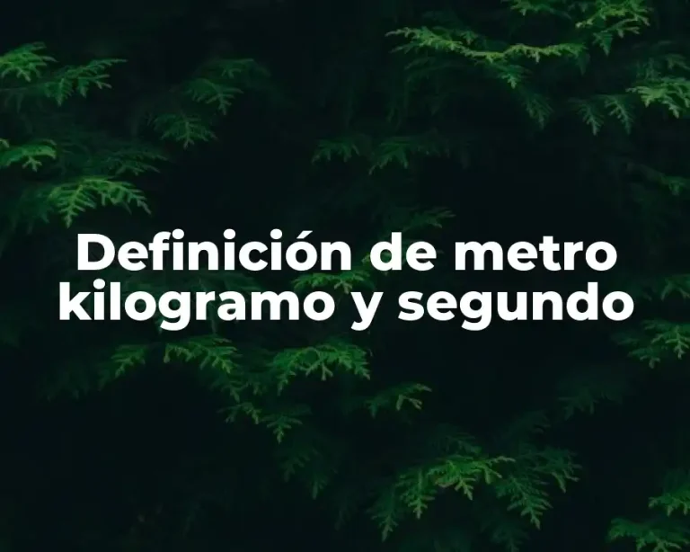 Definición de metro kilogramo y segundo