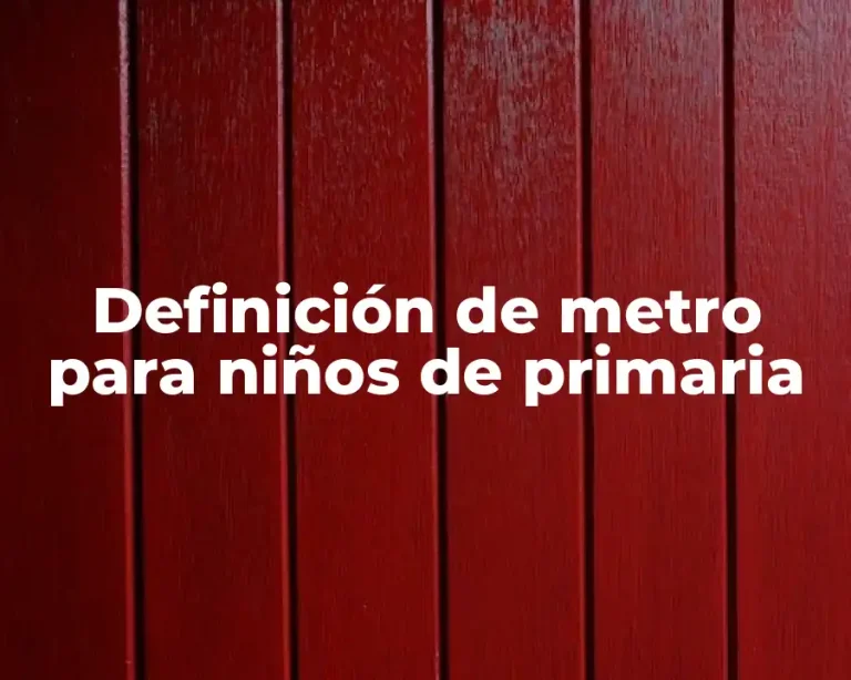 Definición de metro para niños de primaria