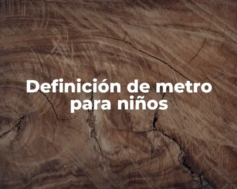 Definición de metro para niños