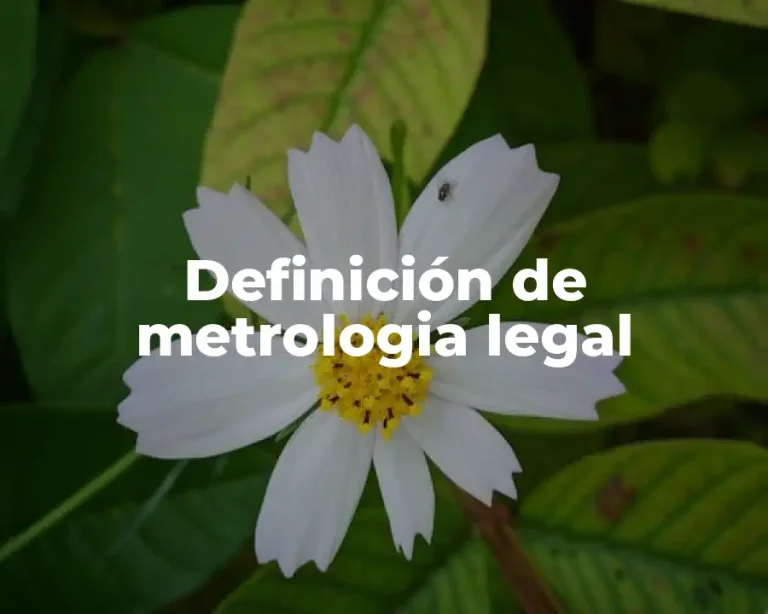 Definición de metrologia legal