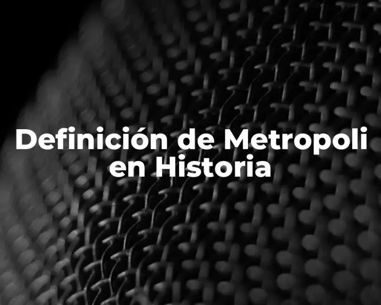 Definición de Metropoli en Historia
