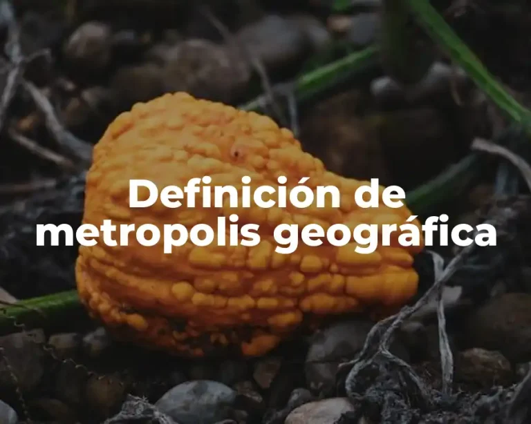 Definición de metropolis geográfica