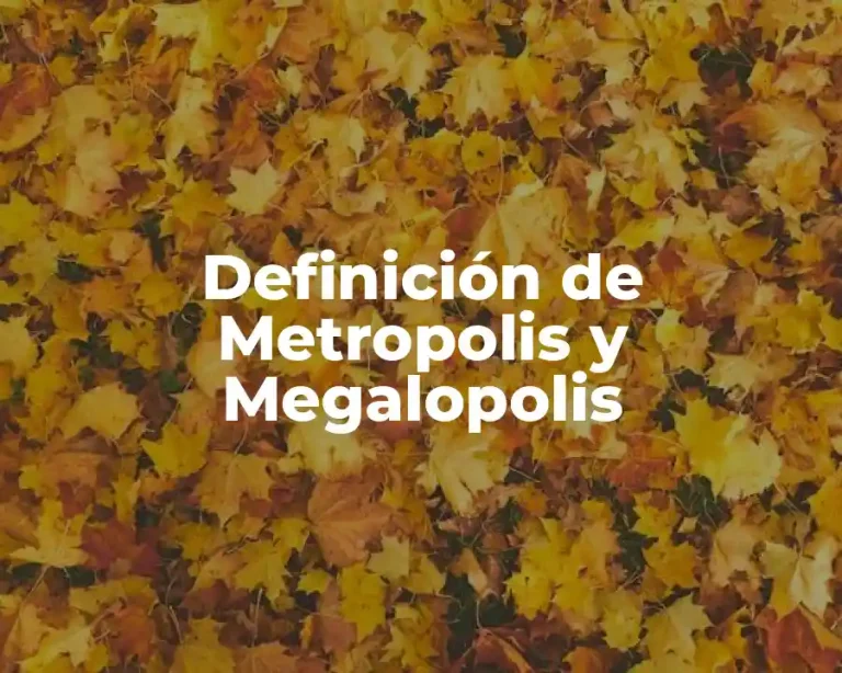 Definición de Metropolis y Megalopolis