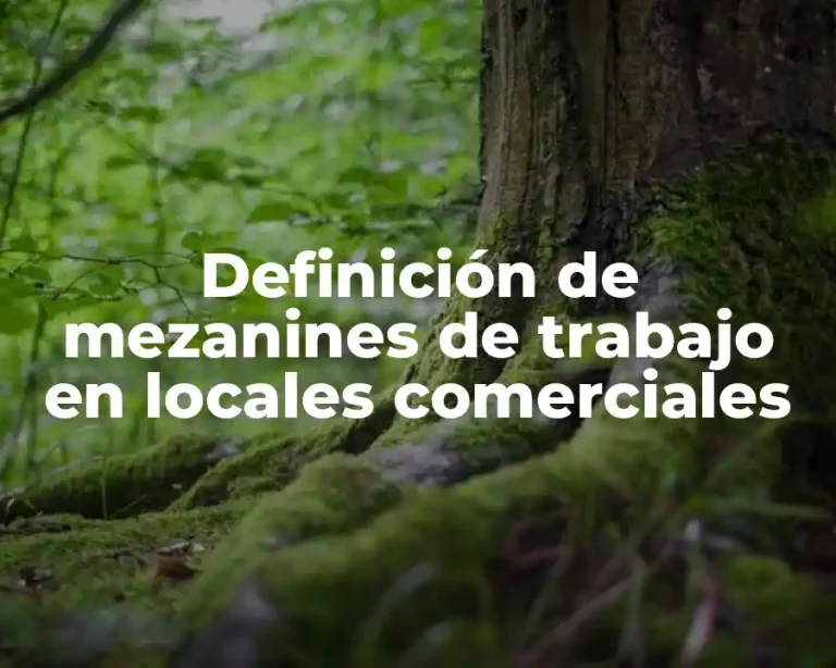 Definición de mezanines de trabajo en locales comerciales